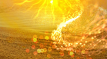 “I want to be&nbsp;many”