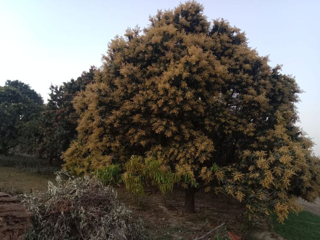 Comes she the most superior&nbsp;Executrix