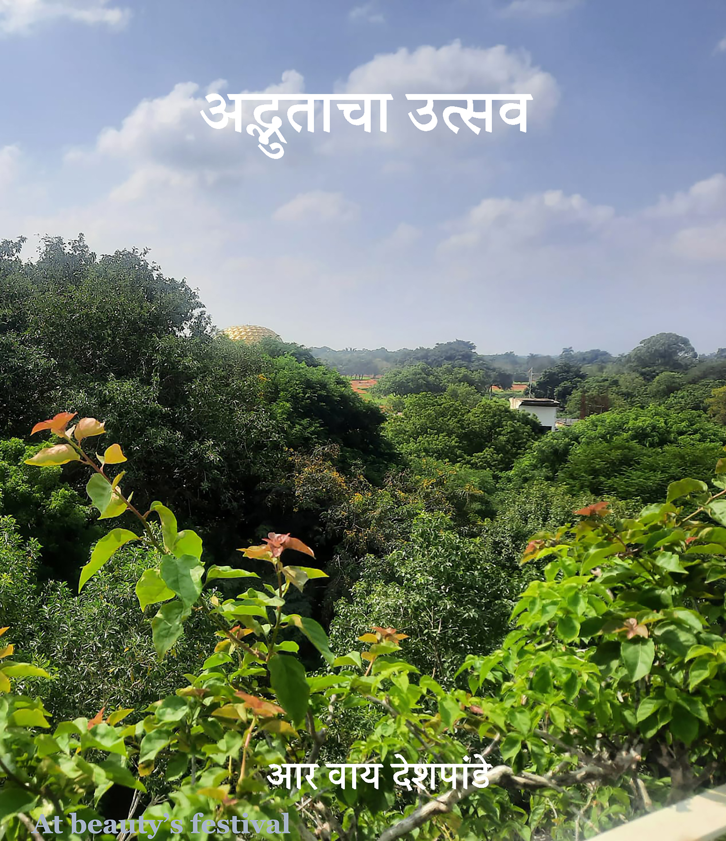 The Celebration of the Amazing