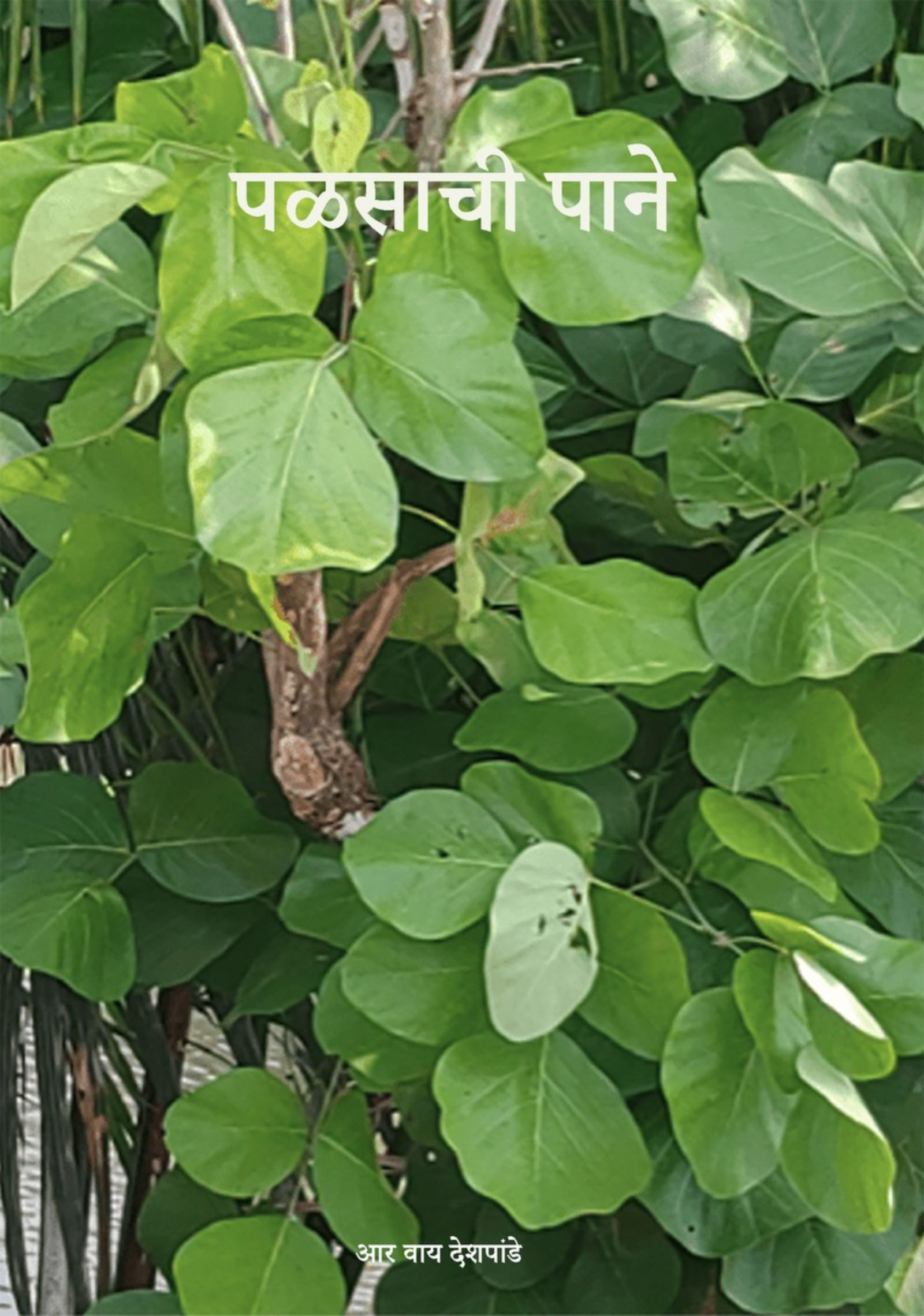 The Leaves of Palāsh Tree — Complete Set