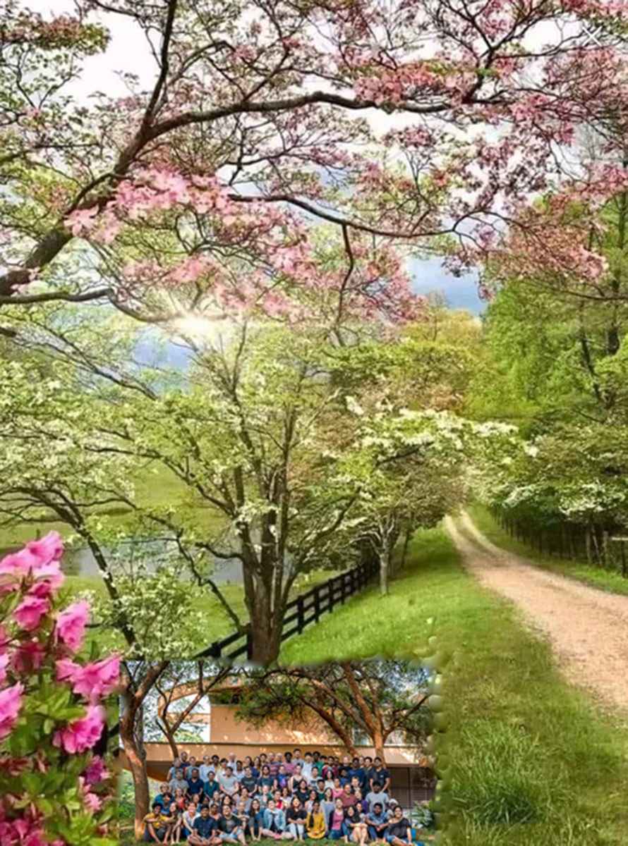 Academy of Tomorrow at the Topland&nbsp;Park