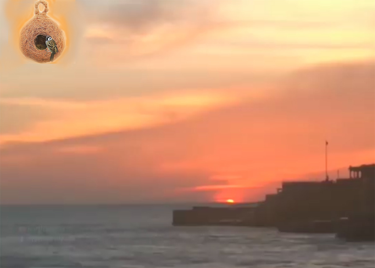 There’s a nest in the orange sky
