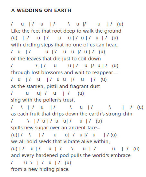 Scanning of some Passages from Savitri