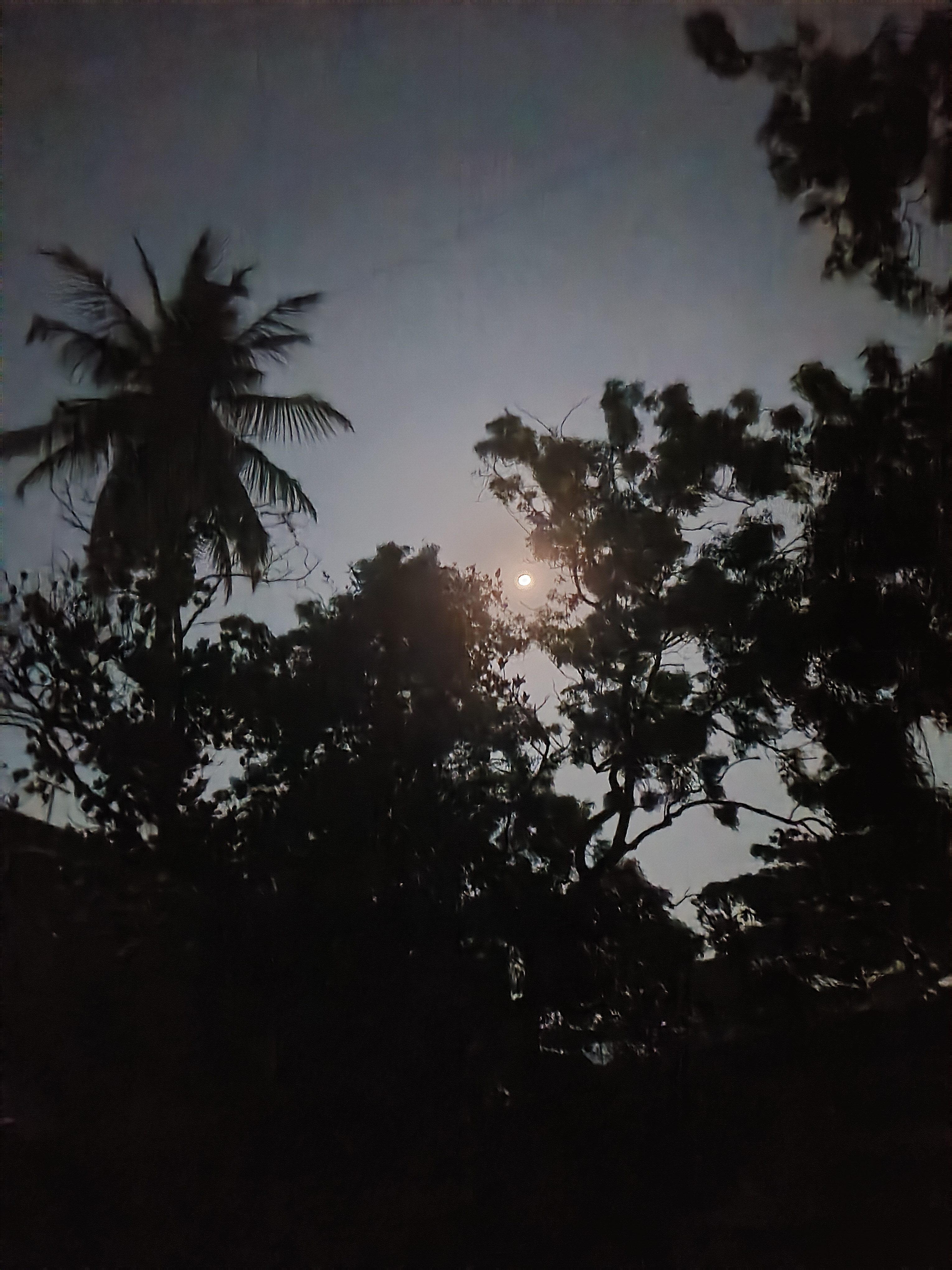 “The night knows nothing of the chants of night”